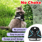 Cat Harnesses and Puppy Harness with Leashes Set, Escape Proof Cat Harness, Adjustable Reflective Soft Mesh Vest Fit Puppy Kitten Rabbit Ferrets'S Outdoor Harness