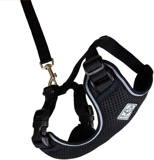 RC Pets Adventure Kitty Harness Includes Adjustable, Airmesh Fabric, 6' Leash and D-Ring Cat Walking Harness | Black, Medium