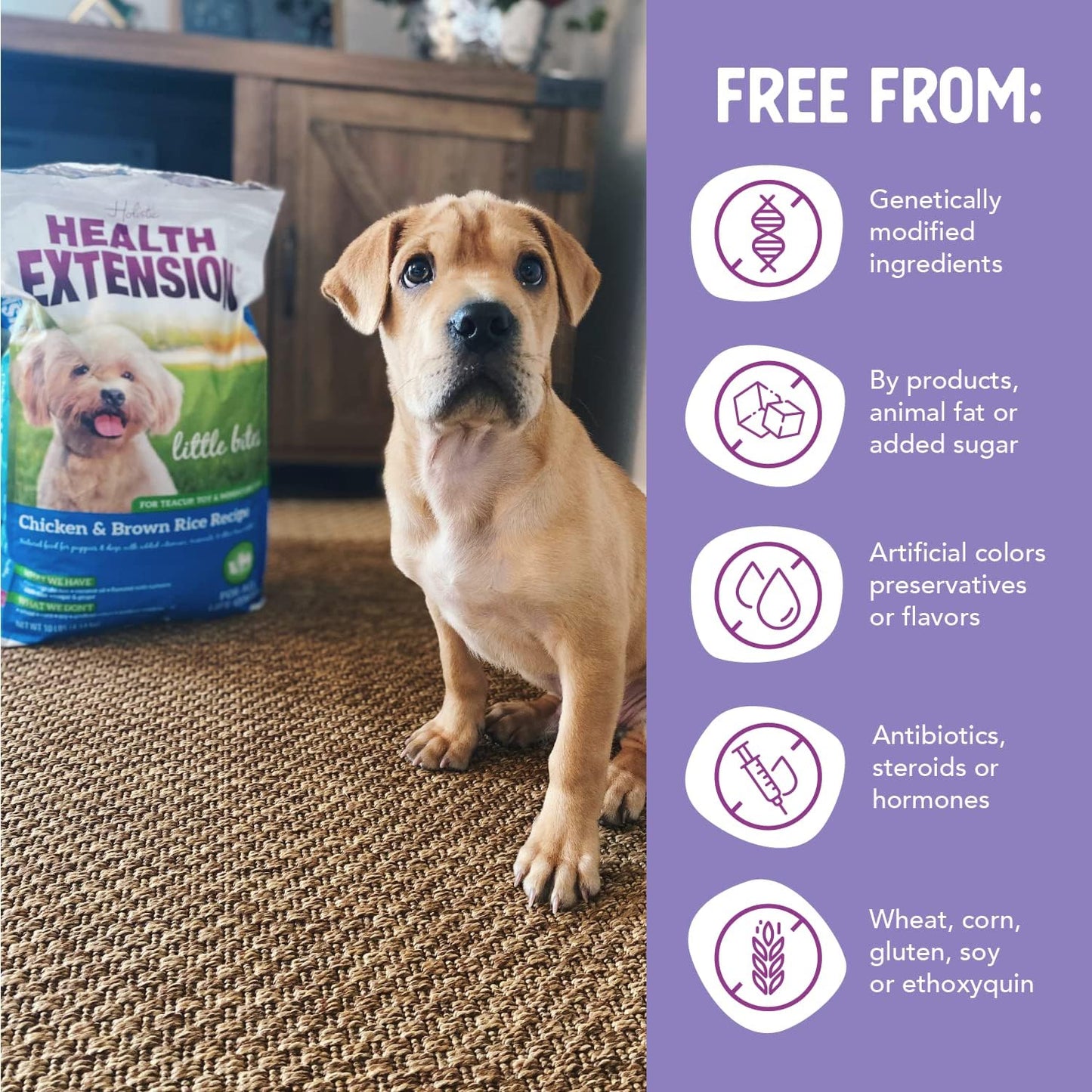 Little Bites Chicken & Brown Rice Dry Dog Food (4 Lb / 1.8 Kg) - Natural with Probiotics and Superfoods for Teacup, Toy & Small Breeds