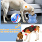 Ceramics Raised Slow Feeder Dog Bowl & Silicone Mat Set, Porcelain Elevated Dog Feeder for Food and Water, Less Regurgitating and Vomiting