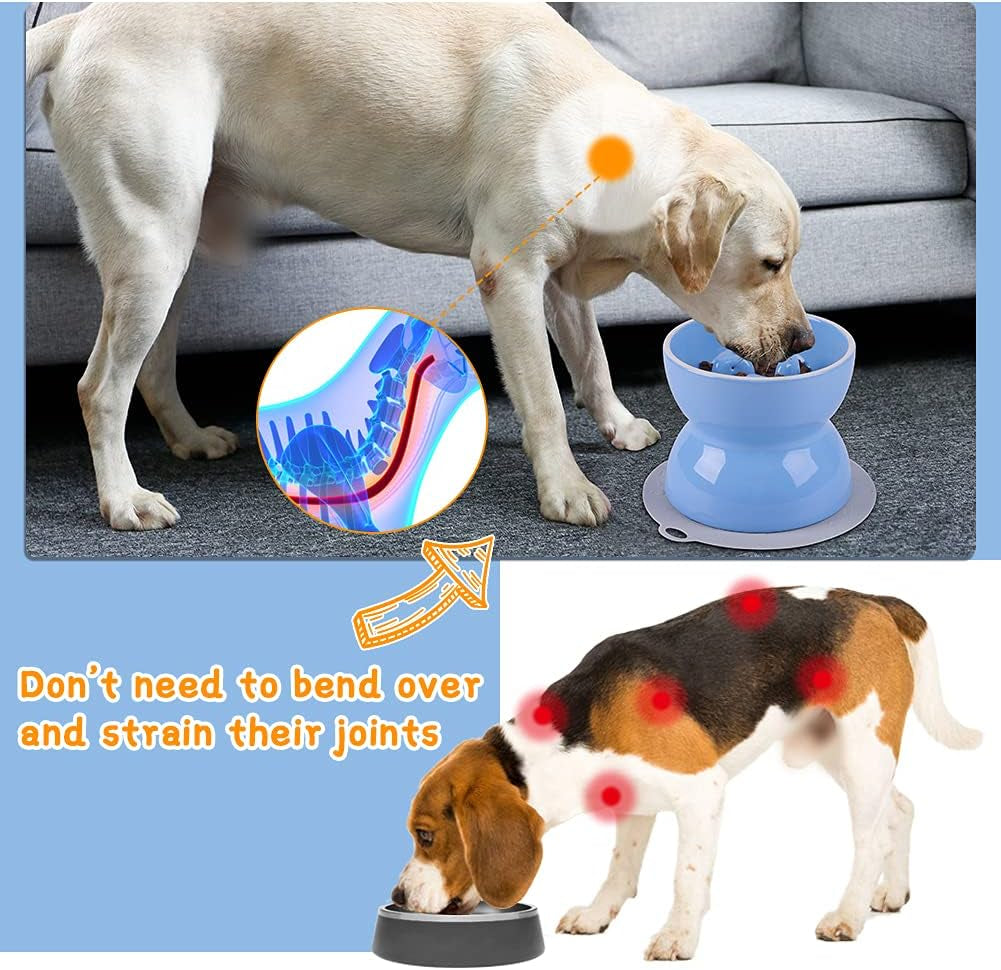 Ceramics Raised Slow Feeder Dog Bowl & Silicone Mat Set, Porcelain Elevated Dog Feeder for Food and Water, Less Regurgitating and Vomiting